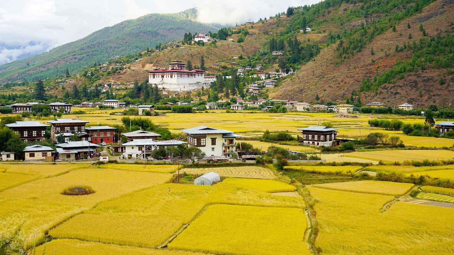 In-Depth Bhutanese Cultural Tour (10 Days)