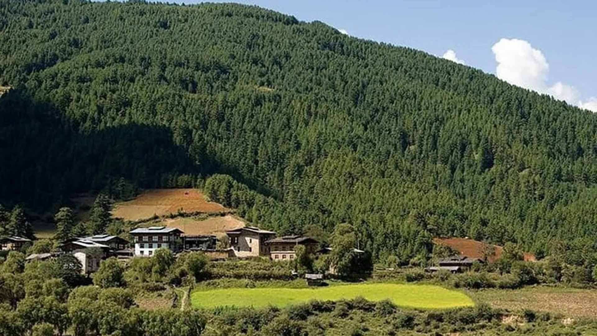 Short Cultural Tour (5 Days)