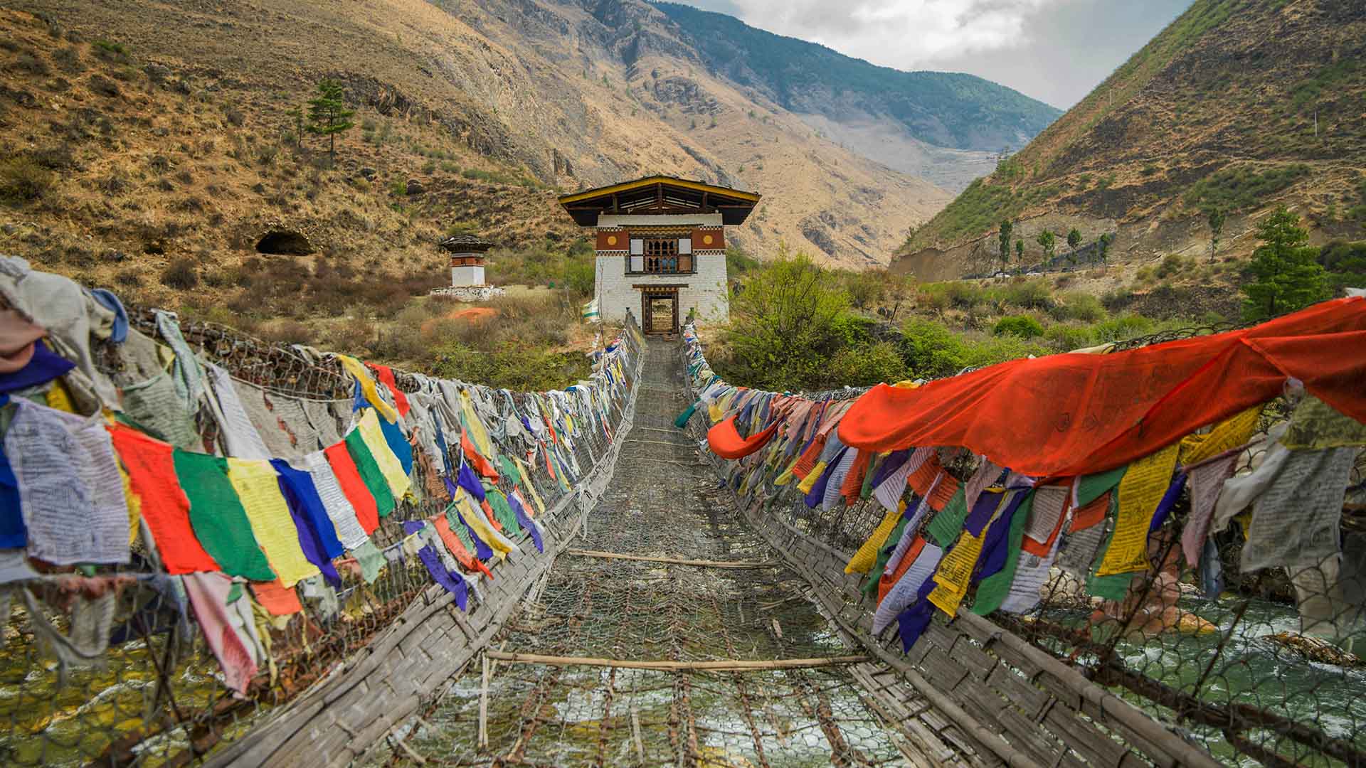 Festival & Culture Tour (10 Days)
